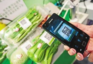 食品信息追溯系統(tǒng) 構(gòu)建透明供應(yīng)鏈，賦能消費(fèi)選擇